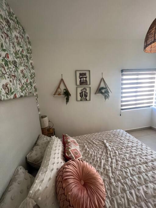 Arcana Lujo Residencial Ciudad Juárez Zewnętrze zdjęcie